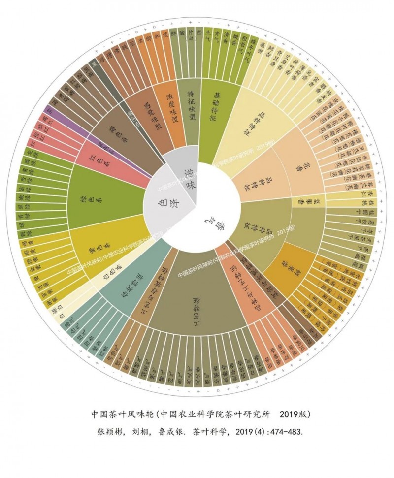 感官评价 中国茶叶风味轮