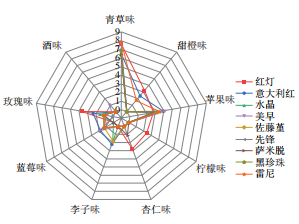 水果风味常用描述词及案例分享2